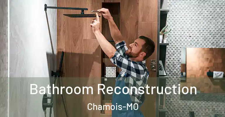 inner Bathroom imggen Bathroom Reconstruction Chamois-MO