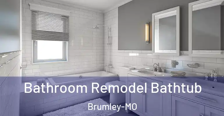 inner Bathroom imggen Bathroom Remodel Bathtub Brumley-MO