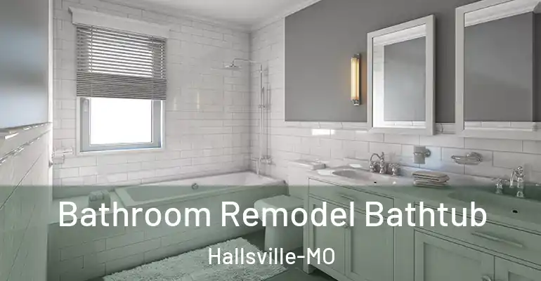 inner Bathroom imggen Bathroom Remodel Bathtub Hallsville-MO