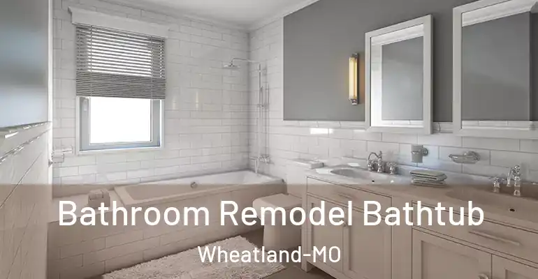 inner Bathroom imggen Bathroom Remodel Bathtub Wheatland-MO