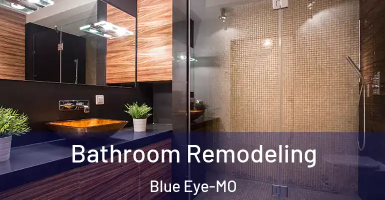 inner Bathroom imggen Bathroom Remodeling Blue Eye-MO