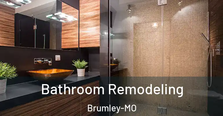 inner Bathroom imggen Bathroom Remodeling Brumley-MO