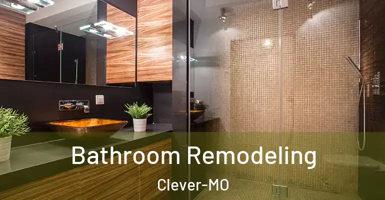 inner Bathroom imggen Bathroom Remodeling Clever-MO