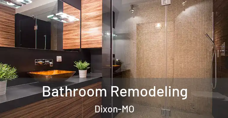 inner Bathroom imggen Bathroom Remodeling Dixon-MO