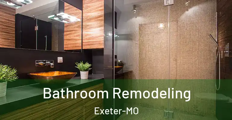 inner Bathroom imggen Bathroom Remodeling Exeter-MO