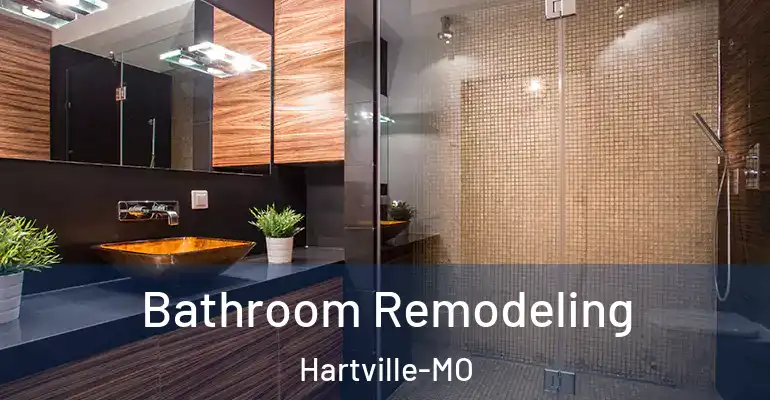 inner Bathroom imggen Bathroom Remodeling Hartville-MO