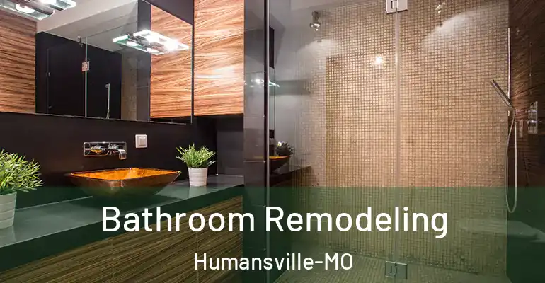 inner Bathroom imggen Bathroom Remodeling Humansville-MO