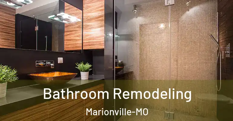 inner Bathroom imggen Bathroom Remodeling Marionville-MO