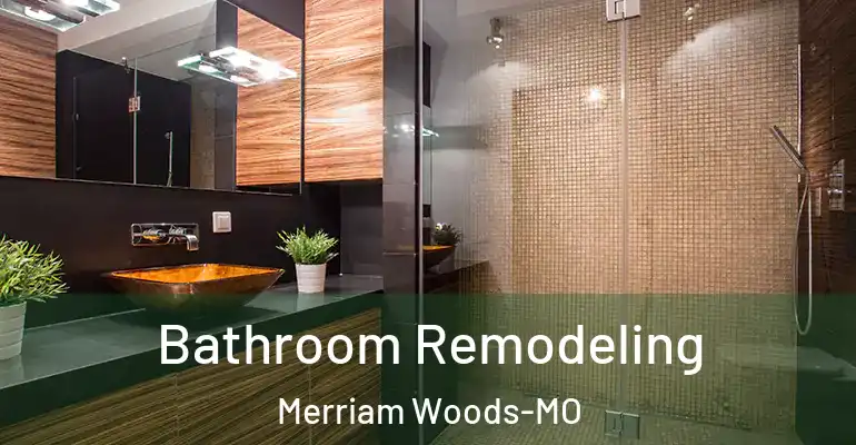 inner Bathroom imggen Bathroom Remodeling Merriam Woods-MO