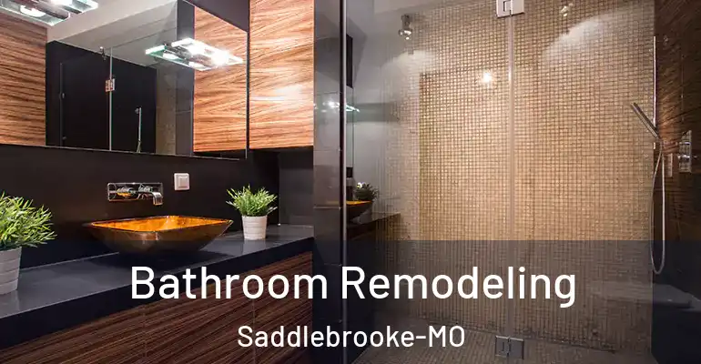 inner Bathroom imggen Bathroom Remodeling Saddlebrooke-MO