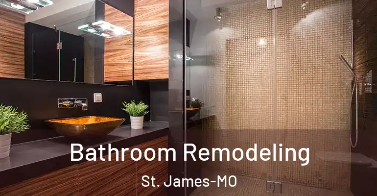 inner Bathroom imggen Bathroom Remodeling St. James-MO