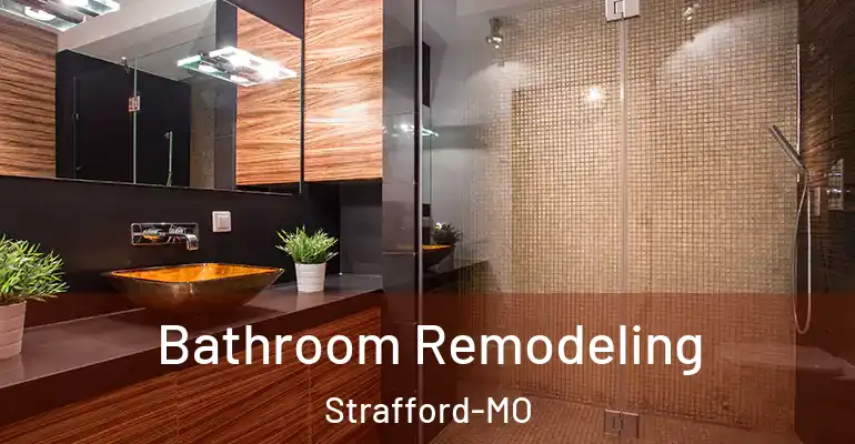 inner Bathroom imggen Bathroom Remodeling Strafford-MO