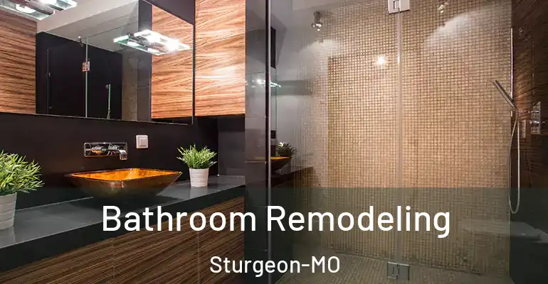 inner Bathroom imggen Bathroom Remodeling Sturgeon-MO