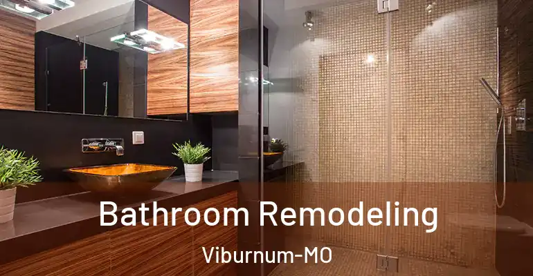 inner Bathroom imggen Bathroom Remodeling Viburnum-MO