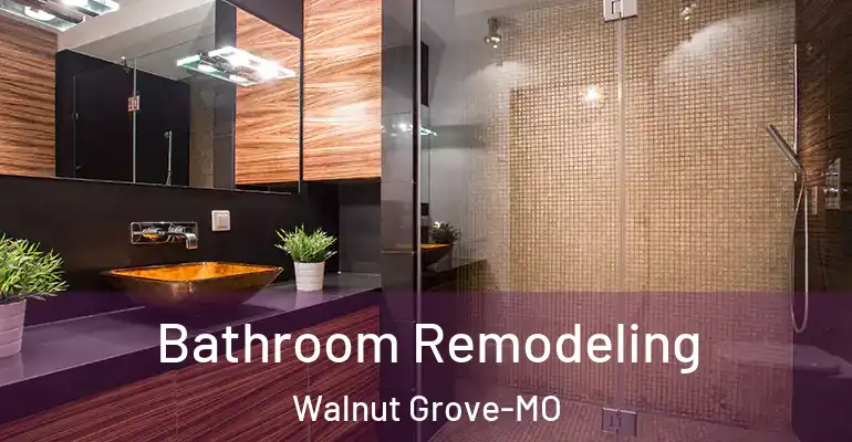 inner Bathroom imggen Bathroom Remodeling Walnut Grove-MO