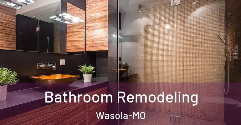 inner Bathroom imggen Bathroom Remodeling Wasola-MO