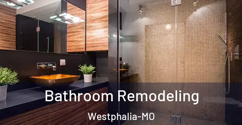 inner Bathroom imggen Bathroom Remodeling Westphalia-MO