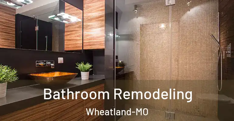 inner Bathroom imggen Bathroom Remodeling Wheatland-MO