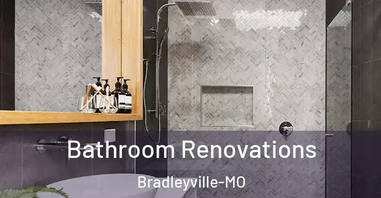 inner Bathroom imggen Bathroom Renovations Bradleyville-MO