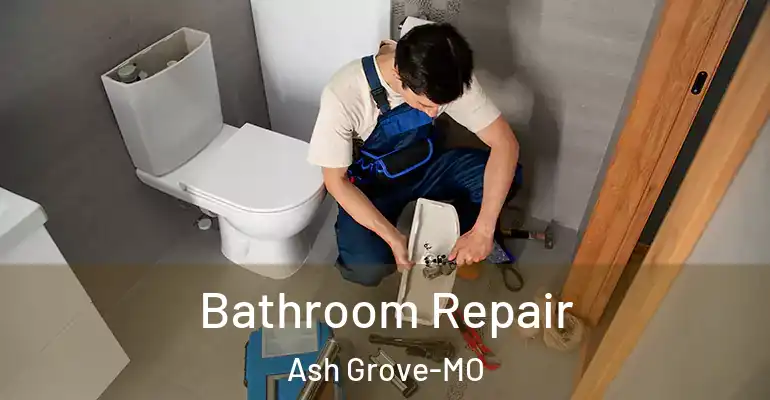 inner Bathroom imggen Bathroom Repair Ash Grove-MO