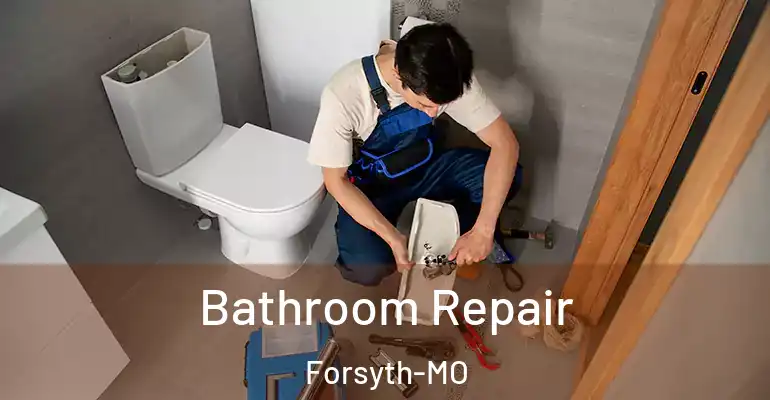 inner Bathroom imggen Bathroom Repair Forsyth-MO