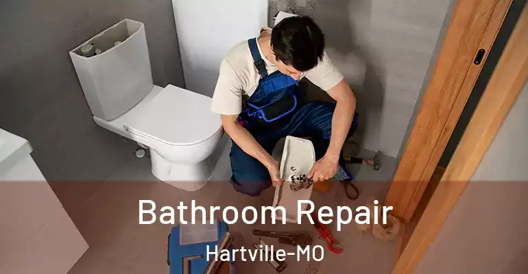 inner Bathroom imggen Bathroom Repair Hartville-MO