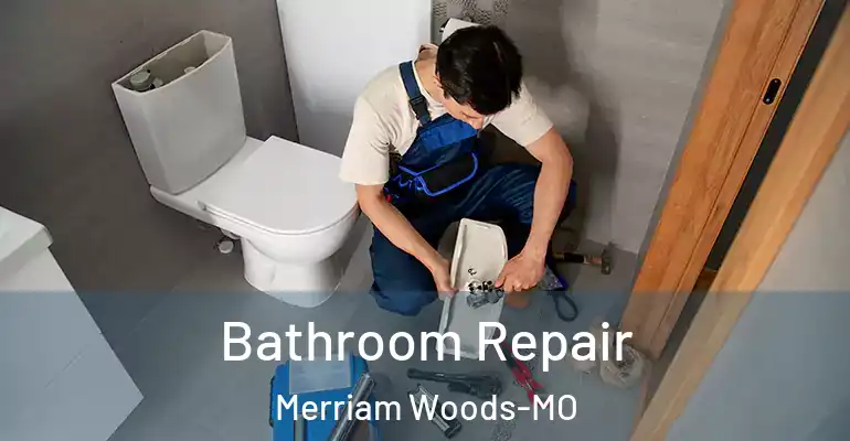 inner Bathroom imggen Bathroom Repair Merriam Woods-MO