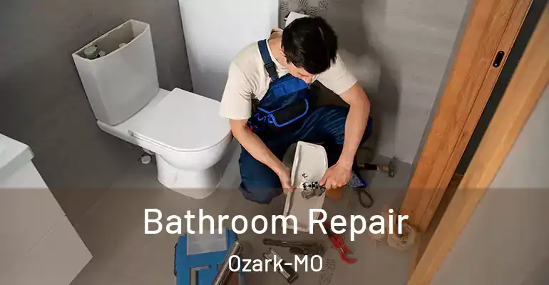 inner Bathroom imggen Bathroom Repair Ozark-MO