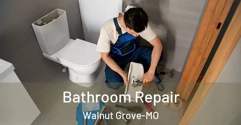 inner Bathroom imggen Bathroom Repair Walnut Grove-MO
