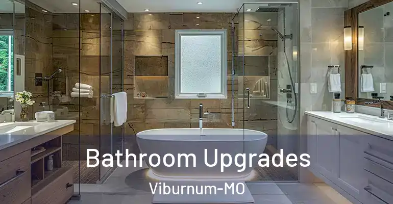 inner Bathroom imggen Bathroom Upgrades Viburnum-MO