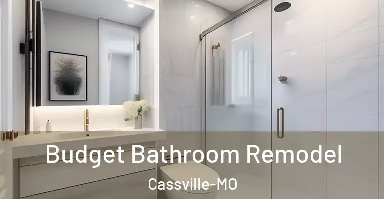 inner Bathroom imggen Budget Bathroom Remodel Cassville-MO