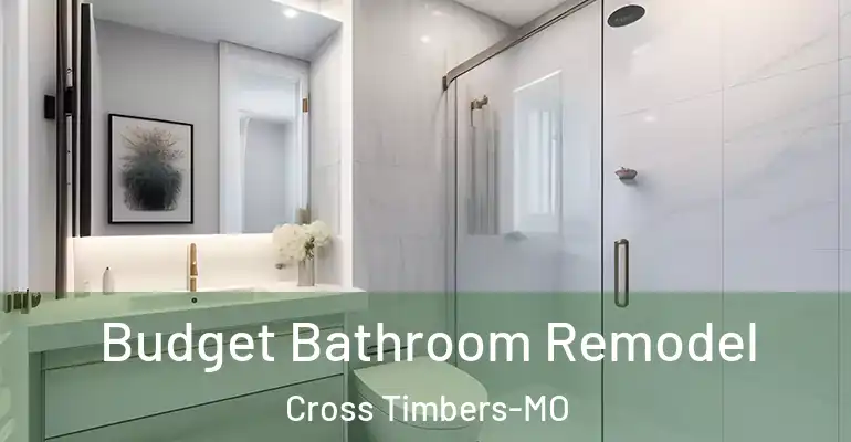 inner Bathroom imggen Budget Bathroom Remodel Cross Timbers-MO