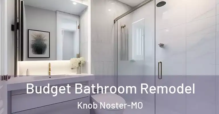 inner Bathroom imggen Budget Bathroom Remodel Knob Noster-MO