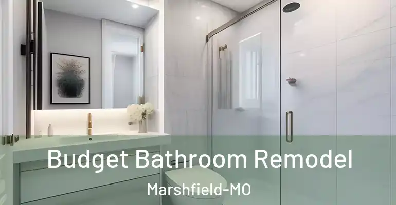 inner Bathroom imggen Budget Bathroom Remodel Marshfield-MO