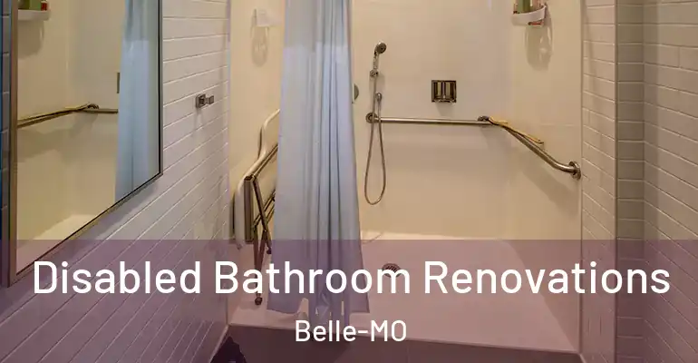 inner Bathroom imggen Disabled Bathroom Renovations Belle-MO