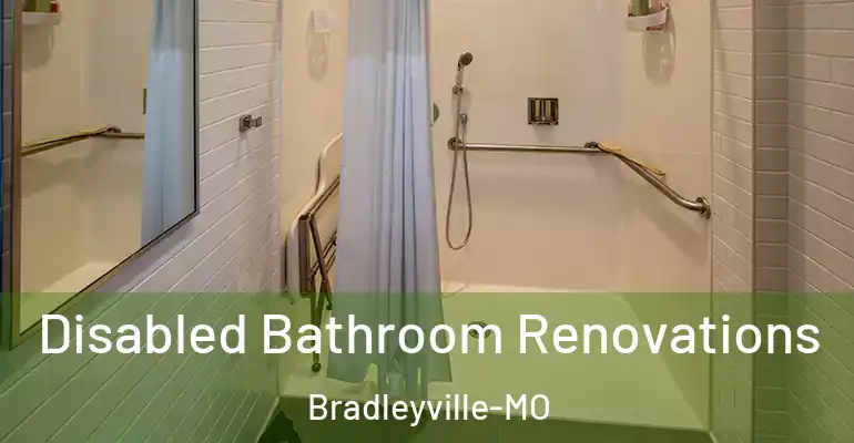inner Bathroom imggen Disabled Bathroom Renovations Bradleyville-MO