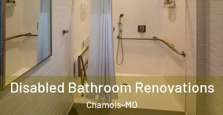 inner Bathroom imggen Disabled Bathroom Renovations Chamois-MO