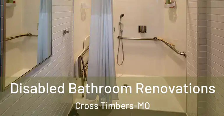 inner Bathroom imggen Disabled Bathroom Renovations Cross Timbers-MO