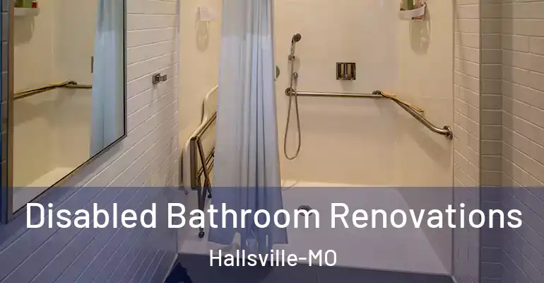 inner Bathroom imggen Disabled Bathroom Renovations Hallsville-MO