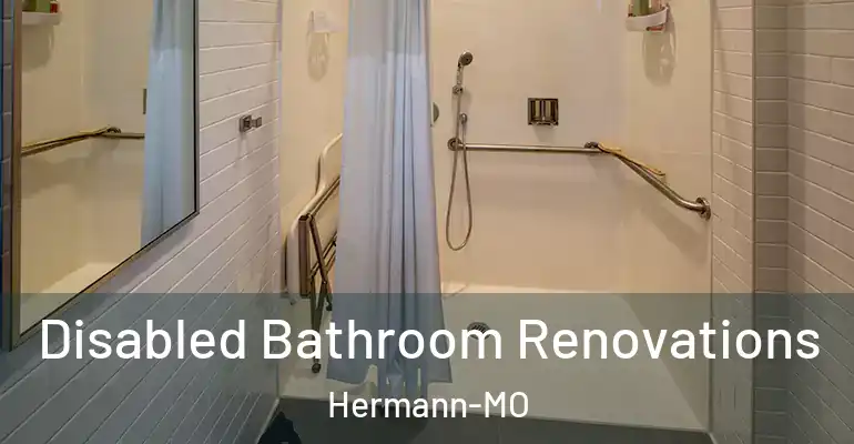 inner Bathroom imggen Disabled Bathroom Renovations Hermann-MO