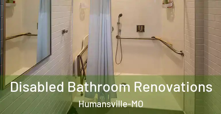 inner Bathroom imggen Disabled Bathroom Renovations Humansville-MO