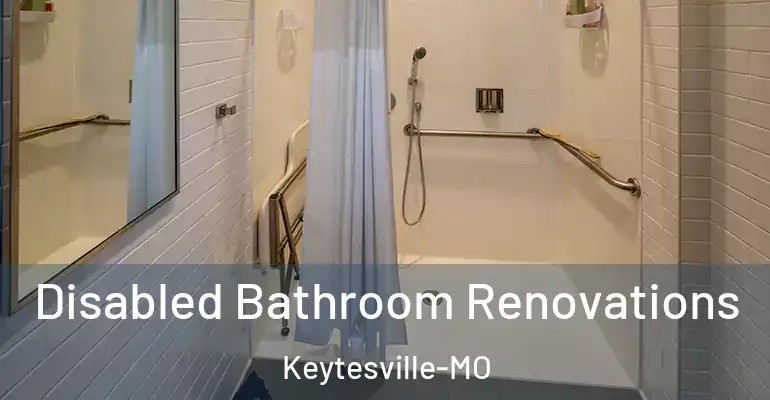 inner Bathroom imggen Disabled Bathroom Renovations Keytesville-MO