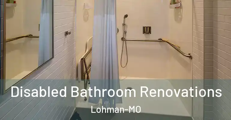 inner Bathroom imggen Disabled Bathroom Renovations Lohman-MO