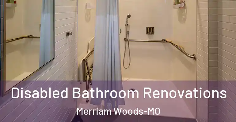 inner Bathroom imggen Disabled Bathroom Renovations Merriam Woods-MO