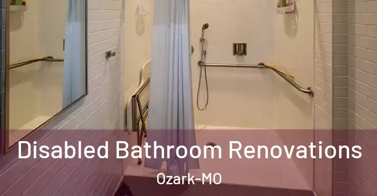 inner Bathroom imggen Disabled Bathroom Renovations Ozark-MO