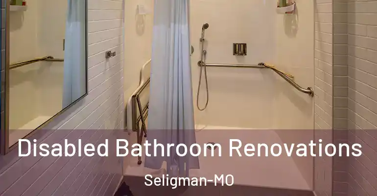 inner Bathroom imggen Disabled Bathroom Renovations Seligman-MO