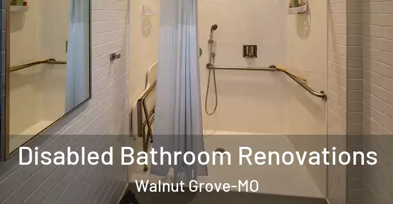 inner Bathroom imggen Disabled Bathroom Renovations Walnut Grove-MO
