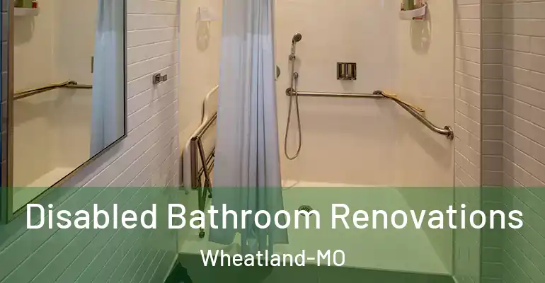 inner Bathroom imggen Disabled Bathroom Renovations Wheatland-MO