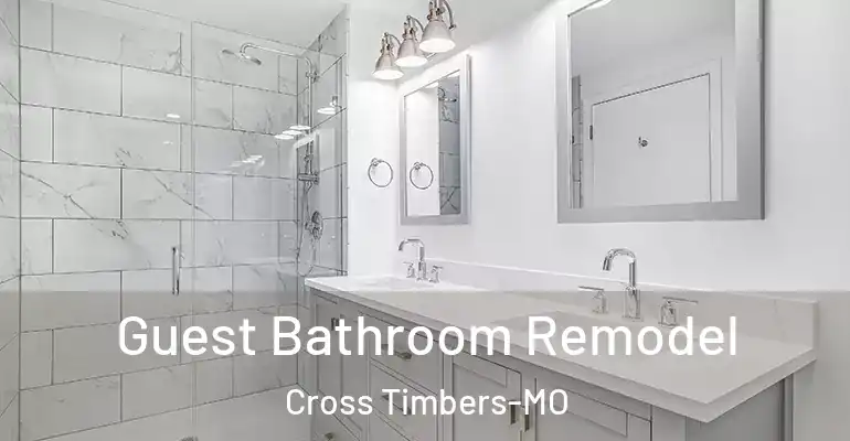 inner Bathroom imggen Guest Bathroom Remodel Cross Timbers-MO