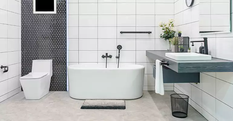 Bathroom Leak Repair in Republic